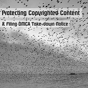 Protecting Copyrighted Content