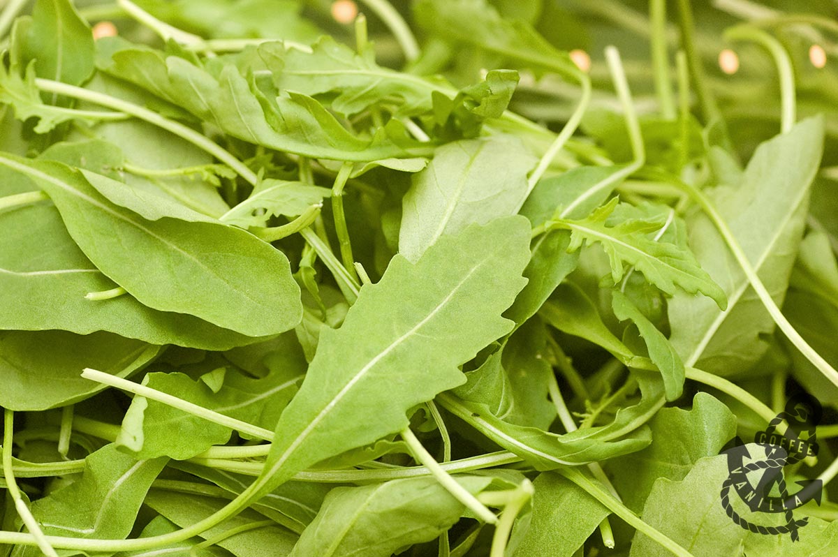 Rocket Leaves Roquette Arugula Rucola Coffee And Vanilla